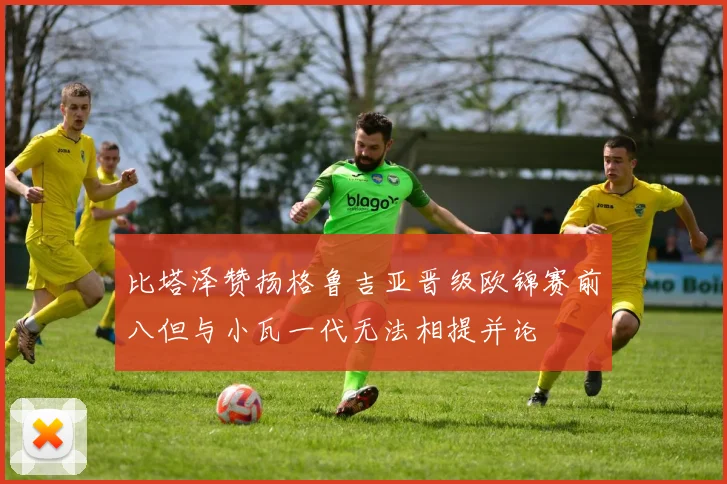 比塔泽赞扬格鲁吉亚晋级欧锦赛前八但与小瓦一代无法相提并论